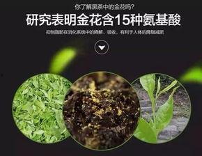 明星喝华莱健安化黑茶,华莱健安化黑茶，茶香四溢的健康新风尚