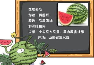 吃瓜的拼音咋读,揭秘“吃瓜群众”的拼音奥秘