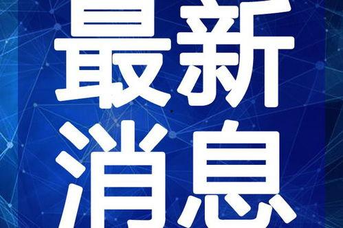 牛哥爆料买房最新视频,买房最新视频深度解析，不容错过的购房攻略