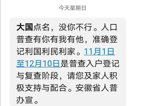 利辛县今天的头条号,[具体头条内容概要]