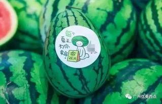 网红瓜枚,揭秘网红背后的真实生活