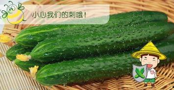 吃瓜十八第六集免费观看,揭秘幕后真相，免费观看大揭秘！