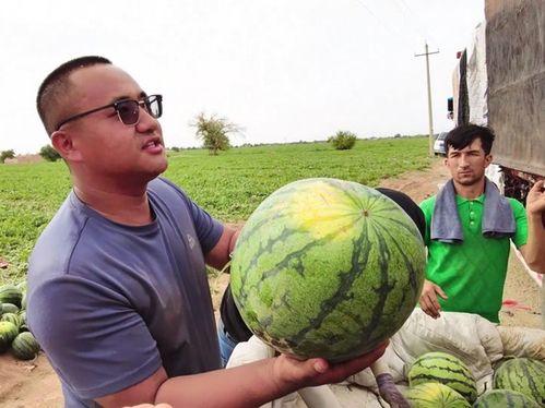 全国吃瓜爆笑视频,笑料百出，欢乐无限