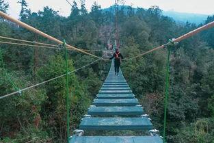 网红荡荡桥,网红打卡地，带你领略独特魅力