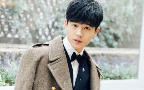 男明星江橙,星光璀璨的男明星之路