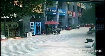 柳州小区爆料案件视频,视频揭秘惊人真相！