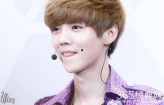 关于明星的排行,明星排行揭秘，谁将登顶巅峰？