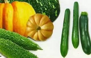 园子吃瓜,揭秘娱乐圈的甜蜜与苦涩