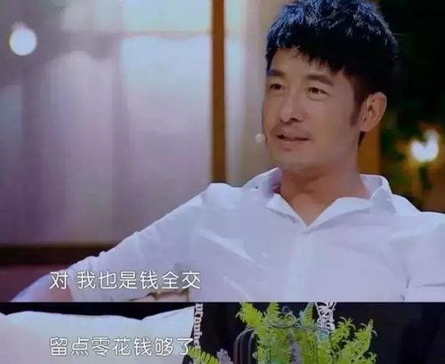 明星夫妻的财政,揭秘他们的财政管理之道