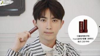 偶像 明星,揭秘偶像明星的辉煌之路