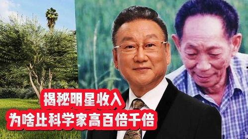 明星和科学家收入,揭秘高收入背后的秘密