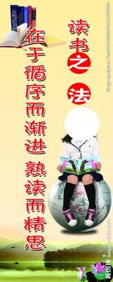 网红读书吧图片,探寻书海中的网红魅力